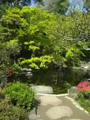 長谷寺(神奈川県)