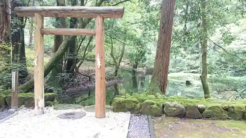 平泉寺白山神社(福井県)