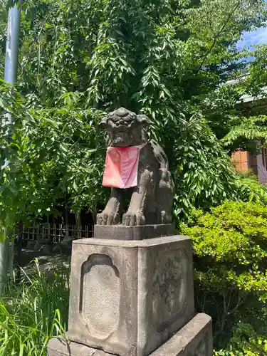 市谷亀岡八幡宮の狛犬