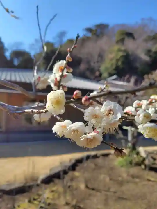 禅居院(神奈川県)