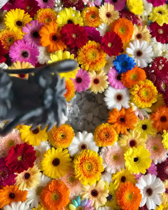 札幌諏訪神社の手水舎