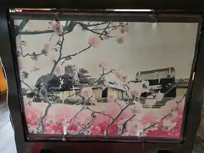 隨心院(随心院)(京都府)