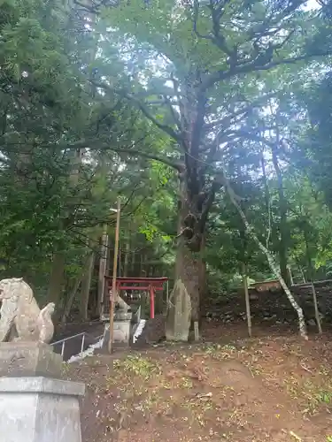 月山神社(岩手県)