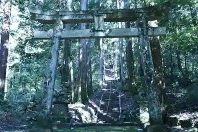 瀧神社の{uncategorized: "未分類", other: "その他", undefined: "問題あり", building: "その他建物", grave: "お墓", sacred_gate: "鳥居", guardian: "狛犬", statue: "像", buddha: "仏像", history: "歴史", nature: "自然", garden: "庭園", animal: "動物", pagoda: "塔", temizu: "手水舎", mountain_gate: "山門・神門", sanctuary: "本殿・本堂", subordinate: "末社・摂社", art: "芸術", scenery: "景色", jizo: "地蔵", ema: "絵馬", goshuin: "御朱印", omikuji: "おみくじ", items: "授与品その他", amulet: "お守り", goshuincho: "御朱印帳", eats: "食事", festival: "お祭り", votive_dance: "神楽", shichigosan: "七五三参", wedding: "結婚式", experience: "体験その他", initially: "初詣", around: "周辺", anti_infection: "感染症対策"}