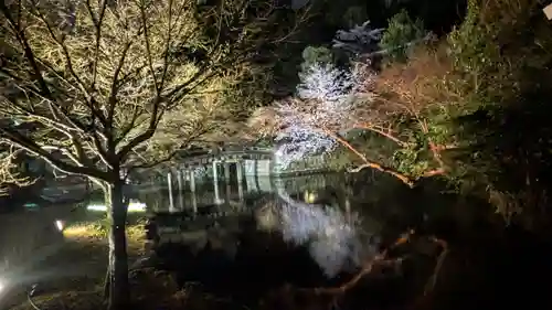 知恩院(京都府)