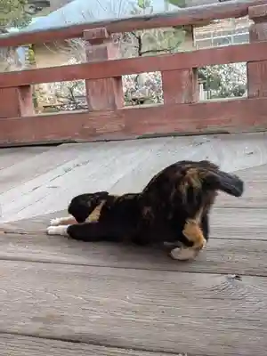 甲斐善光寺(山梨県)