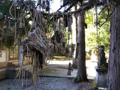 登知為神社(福井県)