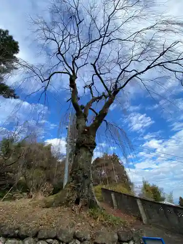 妙義神社(群馬県)