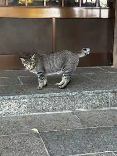 王子神社(徳島県)