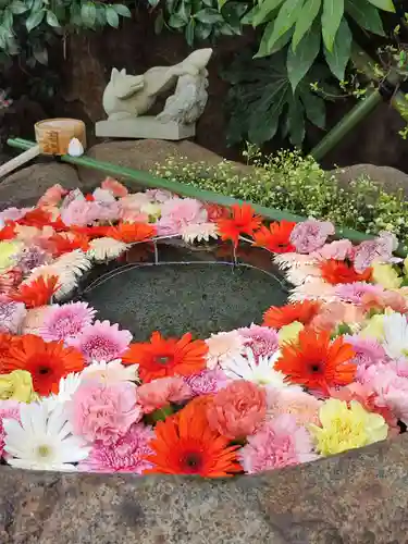 東京羽田 穴守稲荷神社の手水