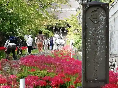 横浜　西方寺の自然