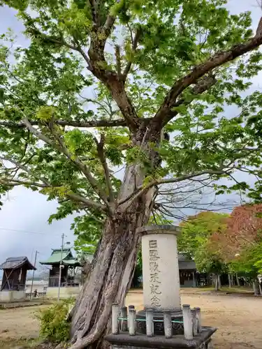 佐保神社の自然