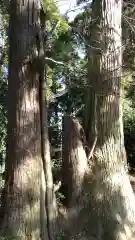 鹿島静神社の自然