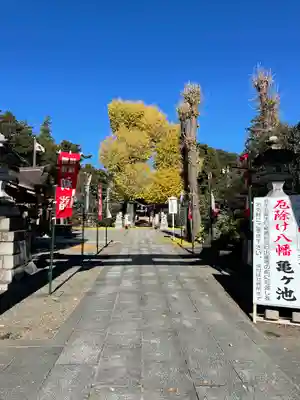亀ケ池八幡宮(神奈川県)