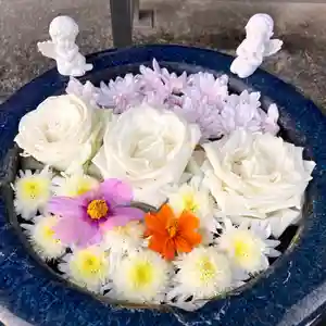 真言宗 善通寺派 薬王寺(香川県)(2023年11月11日(土) 23時34分34秒投稿)