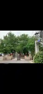 鷲宮神社(埼玉県)