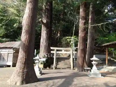 島大国魂御子神社の自然