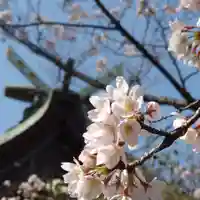 豊山八幡神社の自然