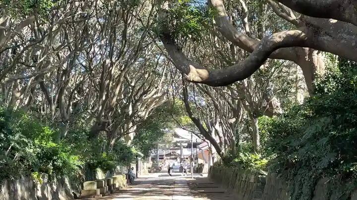 酒列磯前神社の景色
