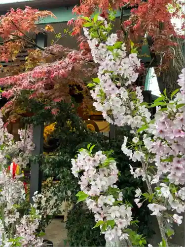 波除神社（波除稲荷神社）の自然