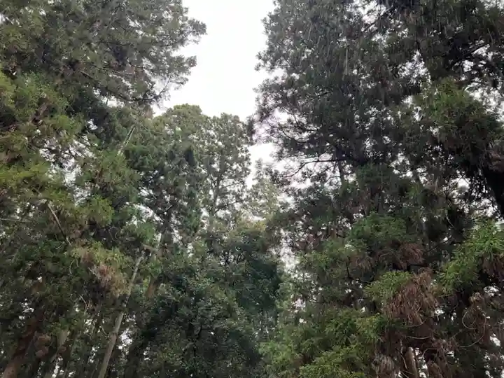 大宮温泉神社(栃木県)