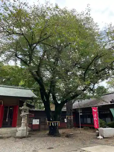 前原御嶽神社(千葉県)