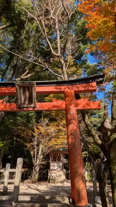 竹中稲荷神社(吉田神社末社)(京都府)