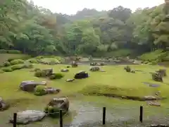 常栄寺の庭園