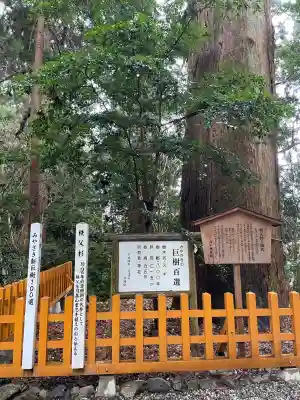 高千穂神社の{uncategorized: "未分類", other: "その他", undefined: "問題あり", building: "その他建物", grave: "お墓", sacred_gate: "鳥居", guardian: "狛犬", statue: "像", buddha: "仏像", history: "歴史", nature: "自然", garden: "庭園", animal: "動物", pagoda: "塔", temizu: "手水舎", mountain_gate: "山門・神門", sanctuary: "本殿・本堂", subordinate: "末社・摂社", art: "芸術", scenery: "景色", jizo: "地蔵", ema: "絵馬", goshuin: "御朱印", omikuji: "おみくじ", items: "授与品その他", amulet: "お守り", goshuincho: "御朱印帳", eats: "食事", festival: "お祭り", votive_dance: "神楽", shichigosan: "七五三参", wedding: "結婚式", experience: "体験その他", initially: "初詣", around: "周辺", anti_infection: "感染症対策"}