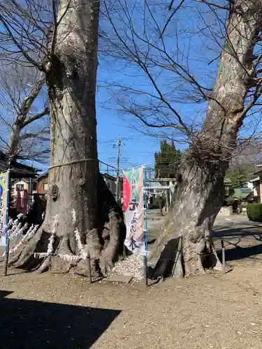八枝神社(埼玉県)