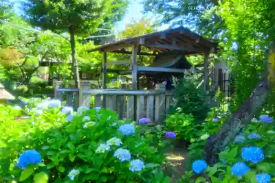 白山神社(東京都)