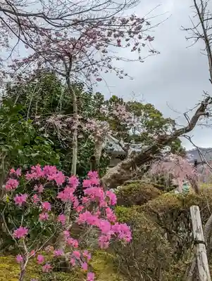 正法寺(京都府)