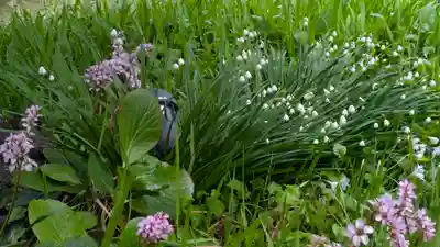 得浄明院(善光寺別院)(京都府)