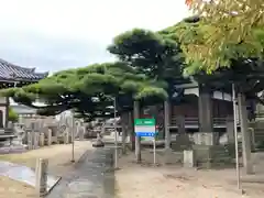 十輪寺の建物その他