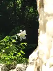 鹿島大神宮の自然