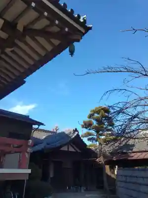 阿遮院(東京都)