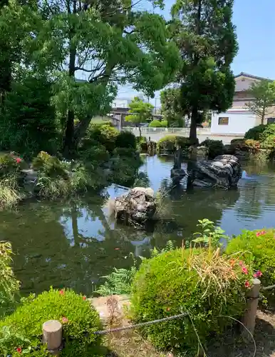 圓鏡寺の庭園