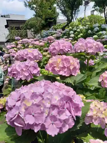 白山神社の自然
