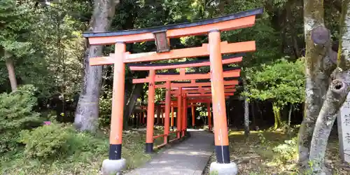 橿原神宮(奈良県)