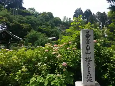 善峯寺(京都府)