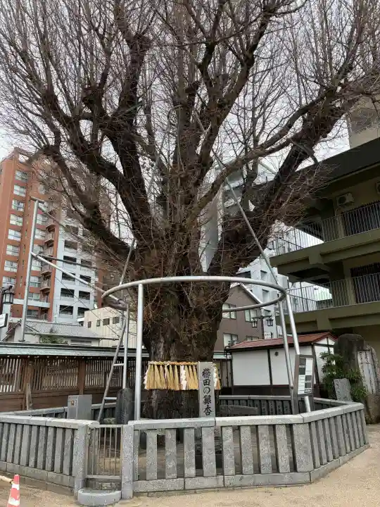 櫛田神社の{uncategorized: "未分類", other: "その他", undefined: "問題あり", building: "その他建物", grave: "お墓", sacred_gate: "鳥居", guardian: "狛犬", statue: "像", buddha: "仏像", history: "歴史", nature: "自然", garden: "庭園", animal: "動物", pagoda: "塔", temizu: "手水舎", mountain_gate: "山門・神門", sanctuary: "本殿・本堂", subordinate: "末社・摂社", art: "芸術", scenery: "景色", jizo: "地蔵", ema: "絵馬", goshuin: "御朱印", omikuji: "おみくじ", items: "授与品その他", amulet: "お守り", goshuincho: "御朱印帳", eats: "食事", festival: "お祭り", votive_dance: "神楽", shichigosan: "七五三参", wedding: "結婚式", experience: "体験その他", initially: "初詣", around: "周辺", anti_infection: "感染症対策"}