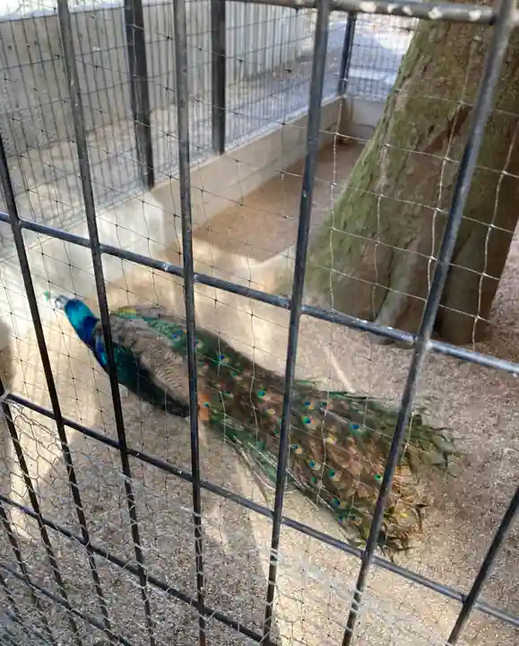 田中神社(京都府)