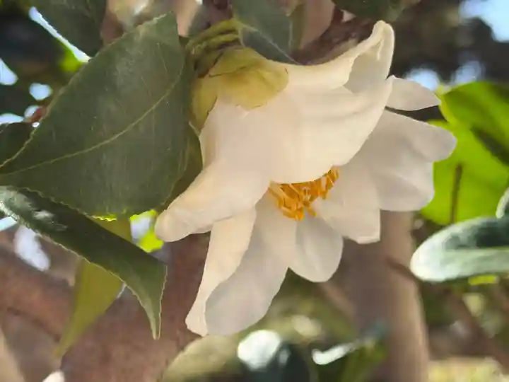 西方山極楽寺(岐阜県)