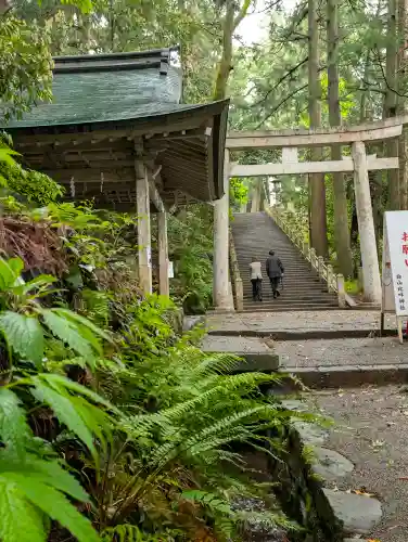 白山比咩神社の{uncategorized: "未分類", other: "その他", undefined: "問題あり", building: "その他建物", grave: "お墓", sacred_gate: "鳥居", guardian: "狛犬", statue: "像", buddha: "仏像", history: "歴史", nature: "自然", garden: "庭園", animal: "動物", pagoda: "塔", temizu: "手水舎", mountain_gate: "山門・神門", sanctuary: "本殿・本堂", subordinate: "末社・摂社", art: "芸術", scenery: "景色", jizo: "地蔵", ema: "絵馬", goshuin: "御朱印", omikuji: "おみくじ", items: "授与品その他", amulet: "お守り", goshuincho: "御朱印帳", eats: "食事", festival: "お祭り", votive_dance: "神楽", shichigosan: "七五三参", wedding: "結婚式", experience: "体験その他", initially: "初詣", around: "周辺", anti_infection: "感染症対策"}