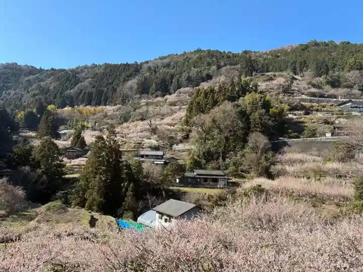 二之宮八幡神社(徳島県)