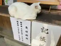 伊佐須美神社の動物