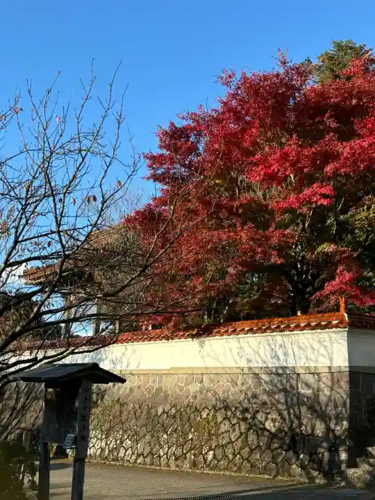 浄善寺の{uncategorized: "未分類", other: "その他", undefined: "問題あり", building: "その他建物", grave: "お墓", sacred_gate: "鳥居", guardian: "狛犬", statue: "像", buddha: "仏像", history: "歴史", nature: "自然", garden: "庭園", animal: "動物", pagoda: "塔", temizu: "手水舎", mountain_gate: "山門・神門", sanctuary: "本殿・本堂", subordinate: "末社・摂社", art: "芸術", scenery: "景色", jizo: "地蔵", ema: "絵馬", goshuin: "御朱印", omikuji: "おみくじ", items: "授与品その他", amulet: "お守り", goshuincho: "御朱印帳", eats: "食事", festival: "お祭り", votive_dance: "神楽", shichigosan: "七五三参", wedding: "結婚式", experience: "体験その他", initially: "初詣", around: "周辺", anti_infection: "感染症対策"}