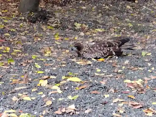 湯次神社(滋賀県)