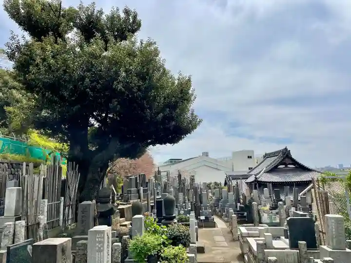 青雲寺(東京都)