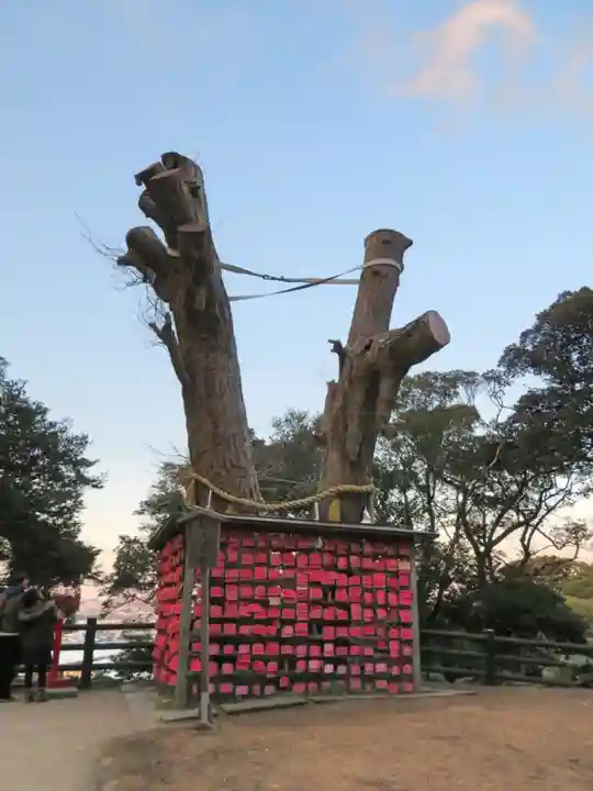 江島神社の自然